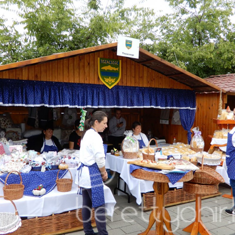 Helyi Értékek Startja 42